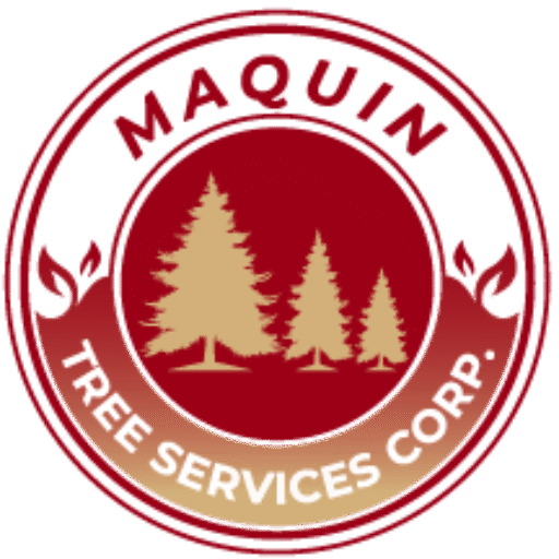 Maquin Tree Services Crop.