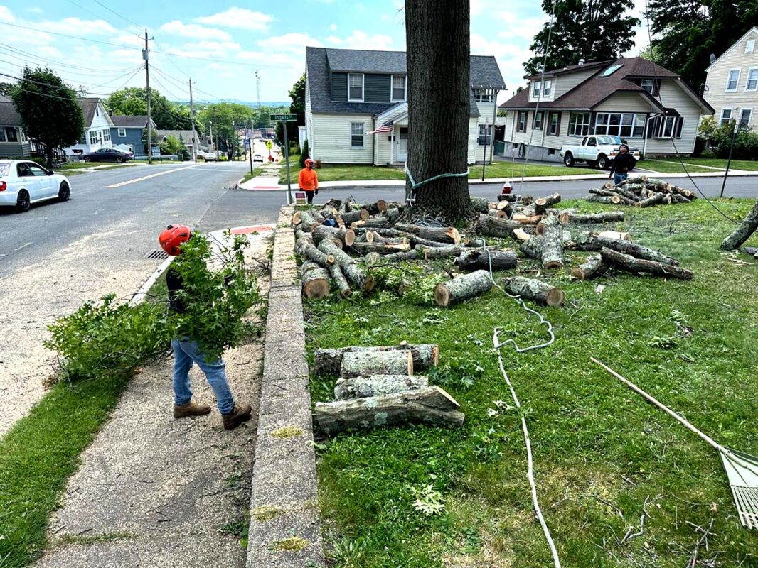 1C95F67E-8457-4BC9-A9BD-6B35AB4648F6