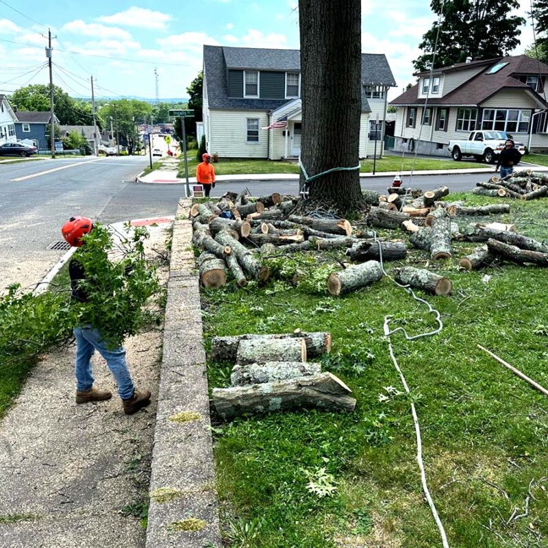 1C95F67E-8457-4BC9-A9BD-6B35AB4648F6