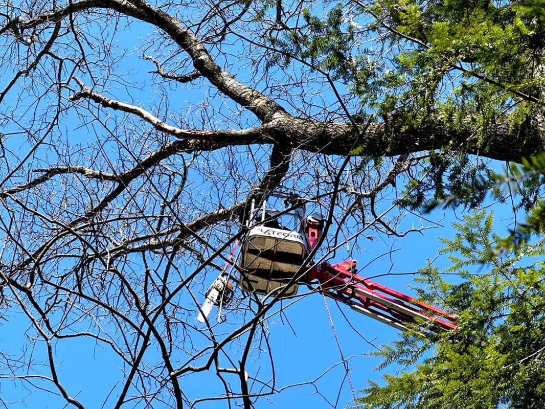 1D4A5EBB-9294-4282-A34C-51272790CBE0