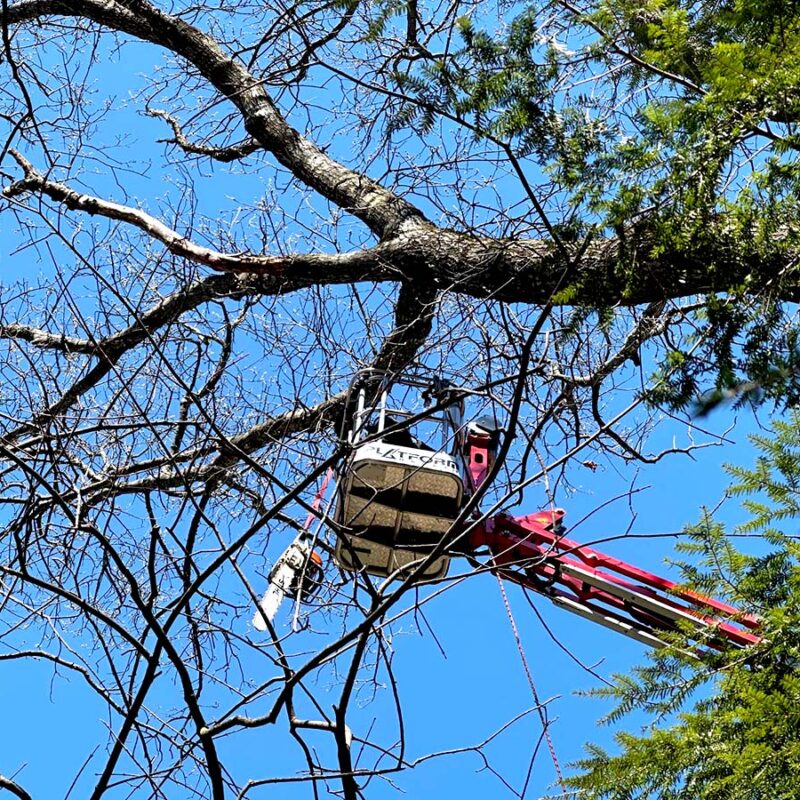 1D4A5EBB-9294-4282-A34C-51272790CBE0