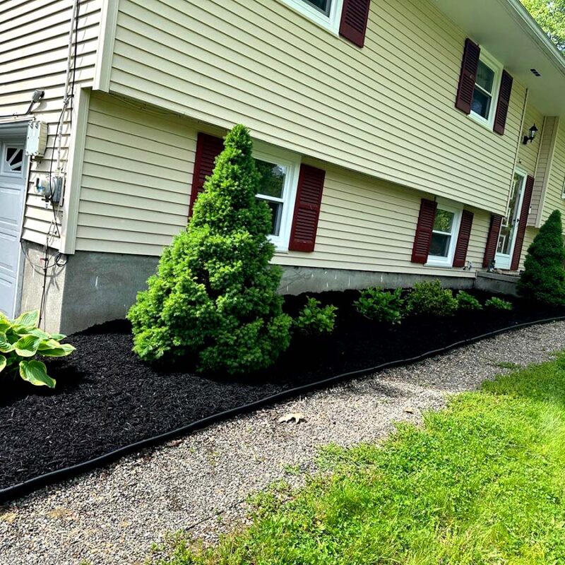 2ABA712E-0277-4CC6-9D77-33365209967C