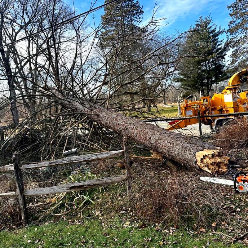 4c3cb51b-a0f8-4cec-9688-77167e8f395d