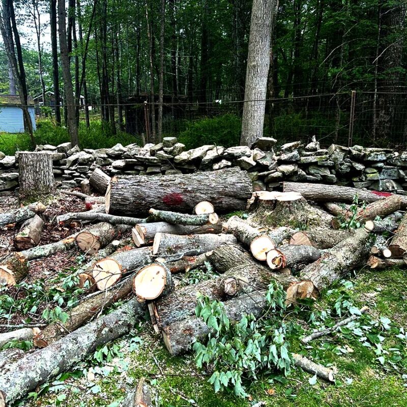 5C6E9D95-97F3-4EBD-8FBD-DC33508DF594