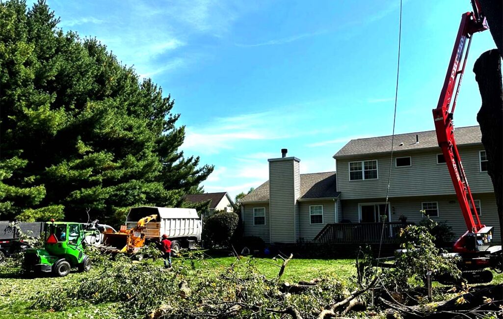 Land Clearing