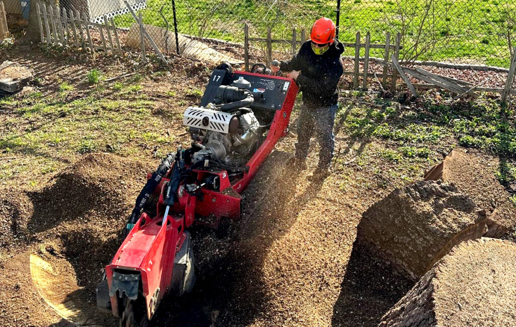 Stump Grinding